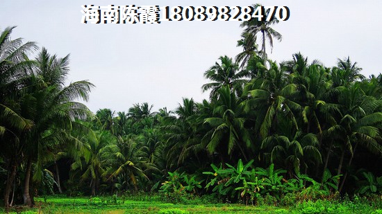 吕梁宏泰紫城2室2厅1厨1卫建面90.00㎡